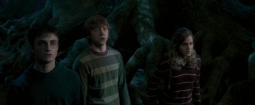 Click to view full size image
==============
OdF-Potterish_6446.jpg OdF-Potterish_6446.jpg