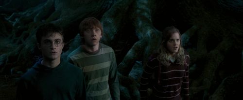 Click to view full size image
==============
OdF-Potterish_6447.jpg OdF-Potterish_6447.jpg