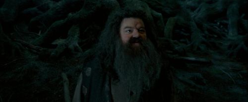 Click to view full size image
==============
OdF-Potterish_6451.jpg OdF-Potterish_6451.jpg