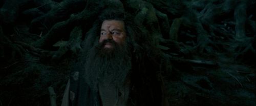 OdF-Potterish_6452.jpg