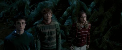 Click to view full size image
==============
OdF-Potterish_6453.jpg OdF-Potterish_6453.jpg