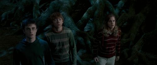 OdF-Potterish_6454.jpg
