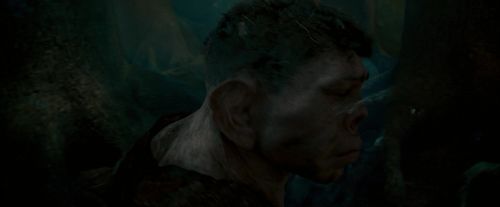 Click to view full size image
==============
OdF-Potterish_6455.jpg OdF-Potterish_6455.jpg