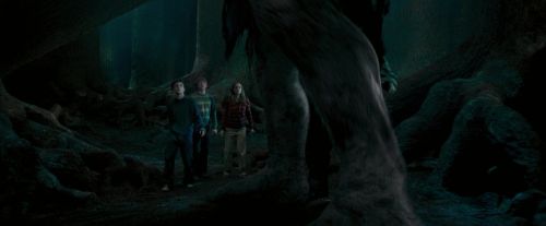 OdF-Potterish_6457.jpg