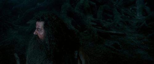 OdF-Potterish_6462.jpg