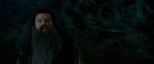 OdF-Potterish_6463.jpg