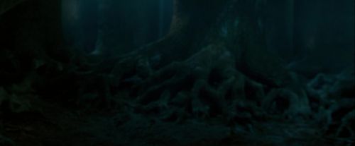 Click to view full size image
==============
OdF-Potterish_6464.jpg OdF-Potterish_6464.jpg