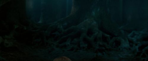 OdF-Potterish_6465.jpg