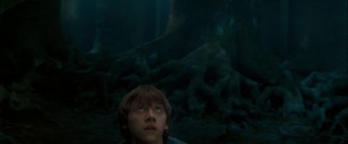 Click to view full size image
==============
OdF-Potterish_6466.jpg OdF-Potterish_6466.jpg