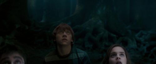OdF-Potterish_6467.jpg