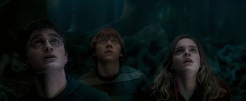 Click to view full size image
==============
OdF-Potterish_6468.jpg OdF-Potterish_6468.jpg