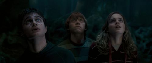 Click to view full size image
==============
OdF-Potterish_6469.jpg OdF-Potterish_6469.jpg