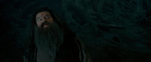 OdF-Potterish_6472.jpg