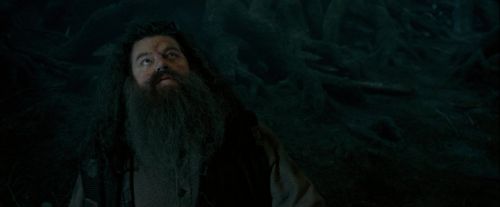 Click to view full size image
==============
OdF-Potterish_6473.jpg OdF-Potterish_6473.jpg