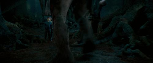 OdF-Potterish_6475.jpg