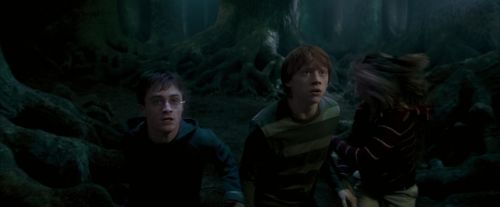 Click to view full size image
==============
OdF-Potterish_6477.jpg OdF-Potterish_6477.jpg