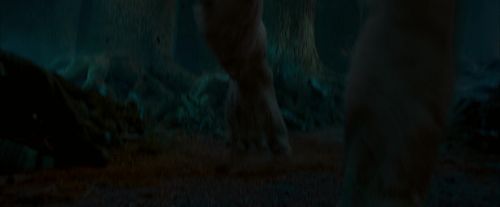 Click to view full size image
==============
OdF-Potterish_6478.jpg OdF-Potterish_6478.jpg