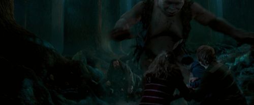 Click to view full size image
==============
OdF-Potterish_6479.jpg OdF-Potterish_6479.jpg