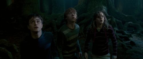 OdF-Potterish_6482.jpg
