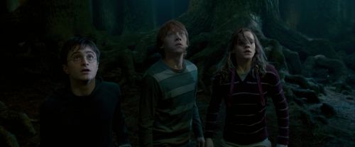 Click to view full size image
==============
OdF-Potterish_6483.jpg OdF-Potterish_6483.jpg