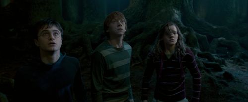 Click to view full size image
==============
OdF-Potterish_6484.jpg OdF-Potterish_6484.jpg