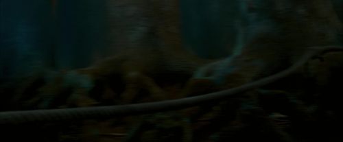 OdF-Potterish_6487.jpg