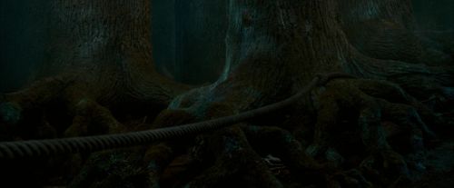 OdF-Potterish_6488.jpg