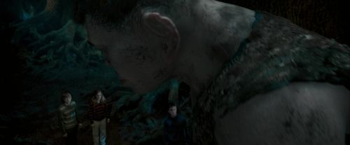 OdF-Potterish_6491.jpg
