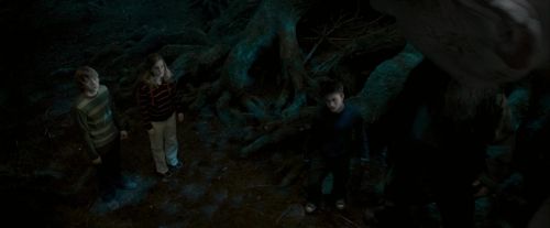OdF-Potterish_6493.jpg