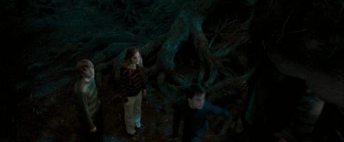 Click to view full size image
==============
OdF-Potterish_6494.jpg OdF-Potterish_6494.jpg