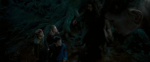Click to view full size image
==============
OdF-Potterish_6495.jpg OdF-Potterish_6495.jpg