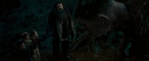 Click to view full size image
==============
OdF-Potterish_6497.jpg OdF-Potterish_6497.jpg