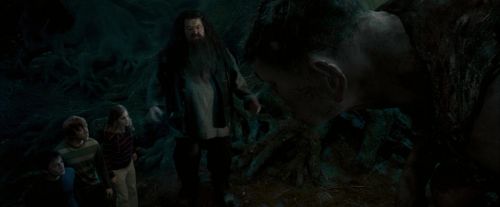 Click to view full size image
==============
OdF-Potterish_6498.jpg OdF-Potterish_6498.jpg