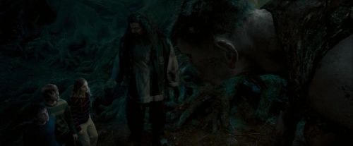 Click to view full size image
==============
OdF-Potterish_6499.jpg OdF-Potterish_6499.jpg