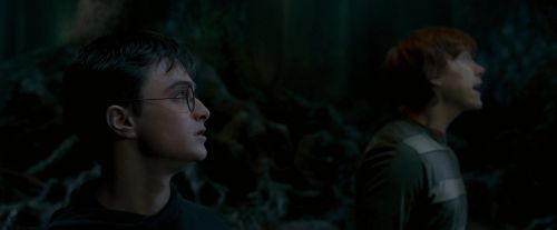 Click to view full size image
==============
OdF-Potterish_6504.jpg OdF-Potterish_6504.jpg
