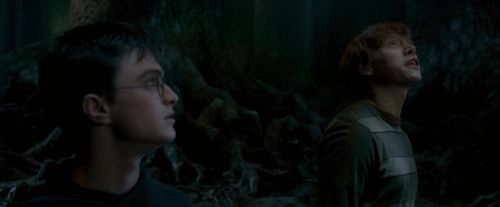 OdF-Potterish_6505.jpg