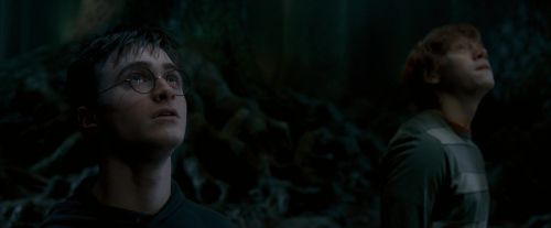 OdF-Potterish_6506.jpg