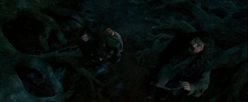 Click to view full size image
==============
OdF-Potterish_6507.jpg OdF-Potterish_6507.jpg