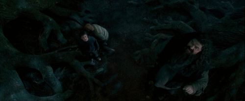 Click to view full size image
==============
OdF-Potterish_6508.jpg OdF-Potterish_6508.jpg