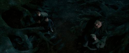 OdF-Potterish_6509.jpg