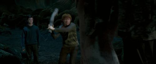 Click to view full size image
==============
OdF-Potterish_6510.jpg OdF-Potterish_6510.jpg