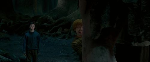 OdF-Potterish_6511.jpg