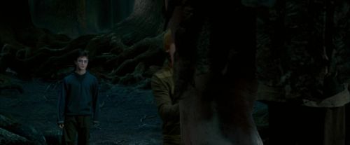 Click to view full size image
==============
OdF-Potterish_6512.jpg OdF-Potterish_6512.jpg