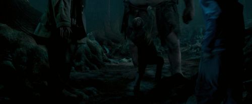 Click to view full size image
==============
OdF-Potterish_6515.jpg OdF-Potterish_6515.jpg