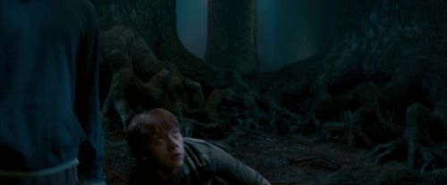 OdF-Potterish_6517.jpg