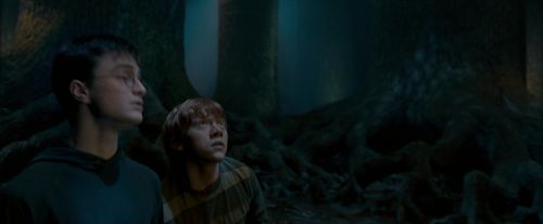 OdF-Potterish_6518.jpg