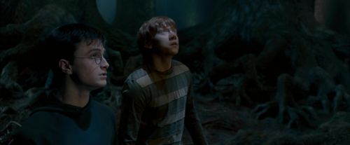 OdF-Potterish_6519.jpg