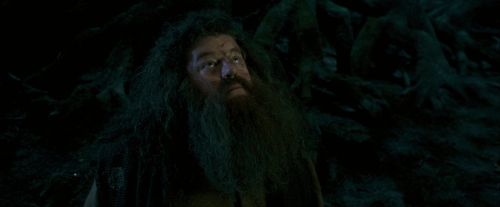 OdF-Potterish_6527.jpg