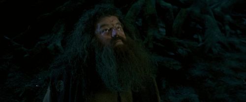 Click to view full size image
==============
OdF-Potterish_6528.jpg OdF-Potterish_6528.jpg
