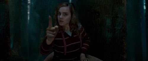 OdF-Potterish_6530.jpg